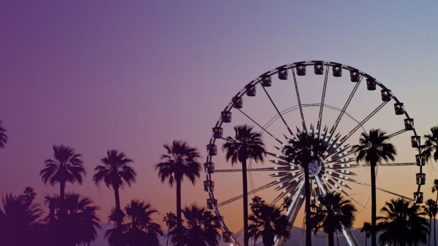 Coachella music festival