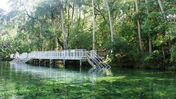 Wild swimming in Orlando: The best natural springs in Florida