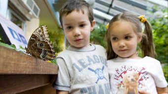 Boston for families: a one day itinerary