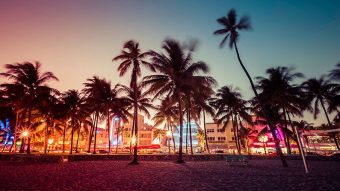 Miami after dark: the city's best nightlife