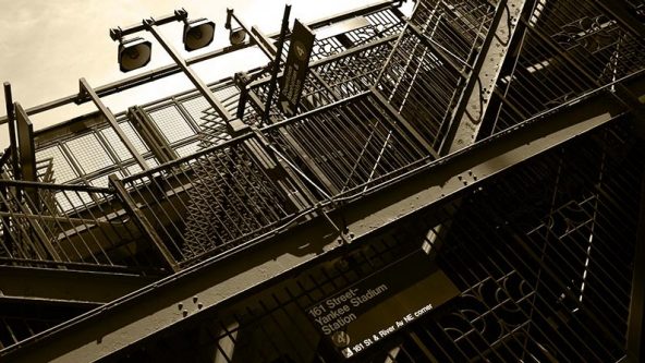 Five reasons to visit the Bronx