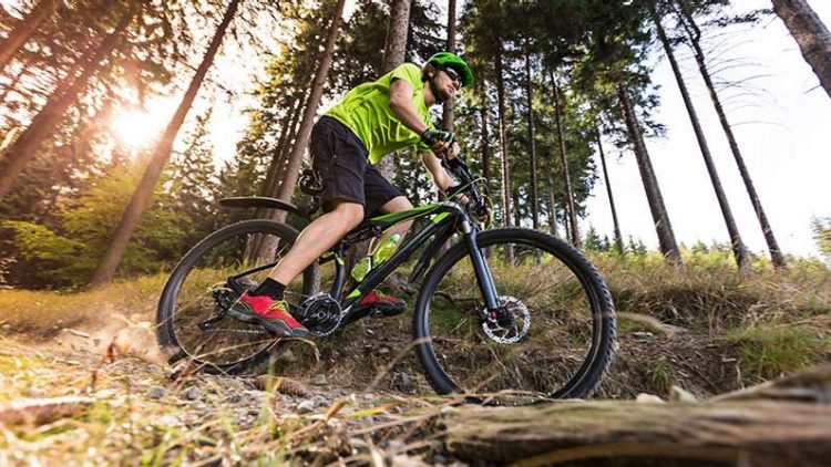 Double track mountain biking store